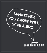 Black background with white boarder. A speech bubble emerging from the Movember moustache logo reads 'Whatever you grow will save a bro'.
